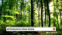 How meteorological spring differs from astronomical spring