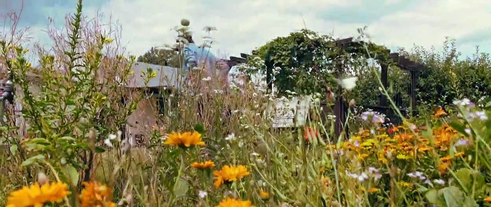 Datsche (2019)