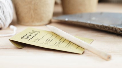 The 10 Best Heirloom Seeds of 2023