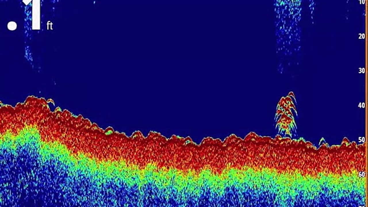 George Poveromos World Of Saltwater Fishing S03E04