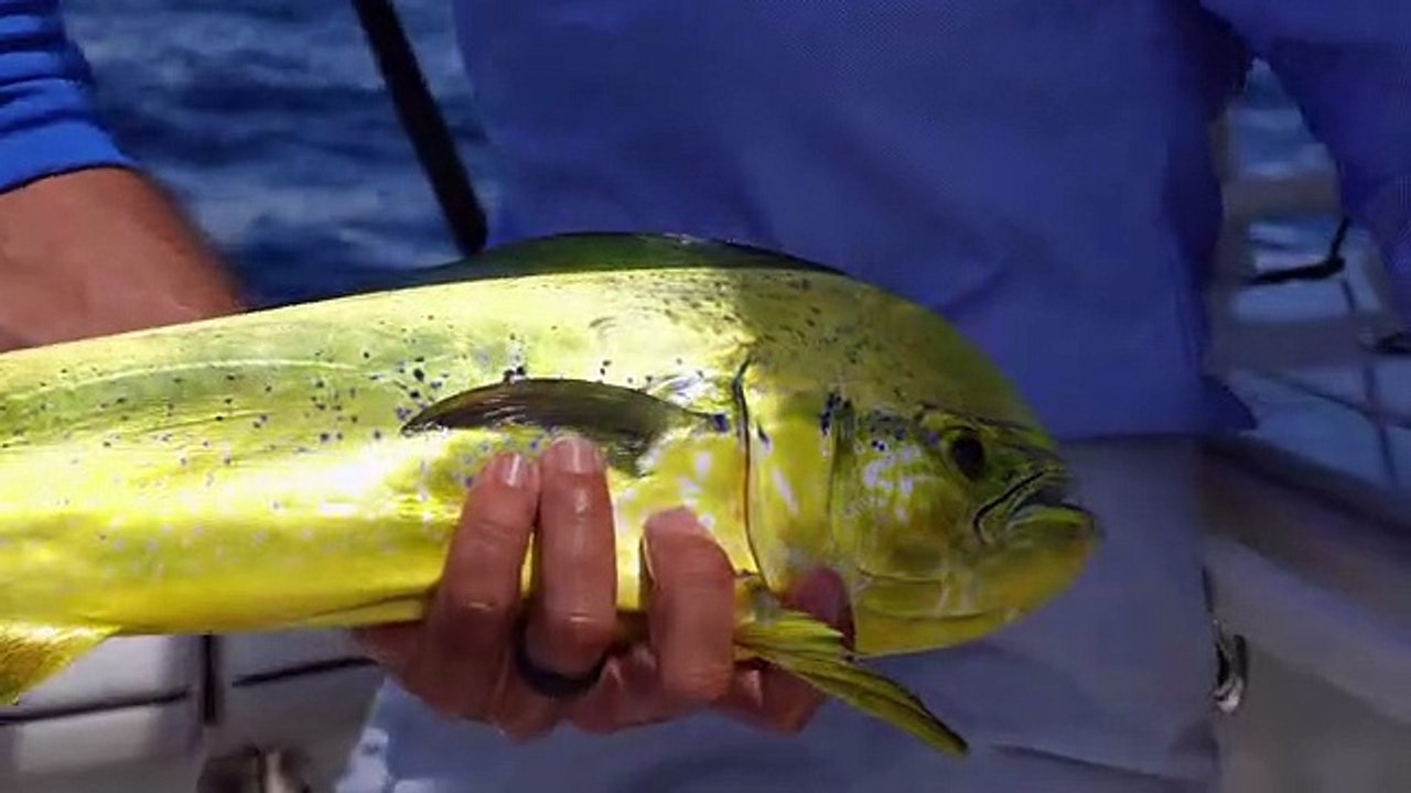 George Poveromos World Of Saltwater Fishing S03E05