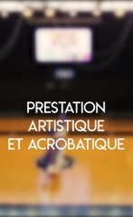 Prestation artistique et ou acrobatique