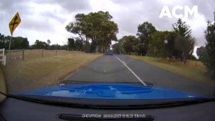 Near-Miss at Greenhalghs Road Intersection Raises Safety Concerns 🚗