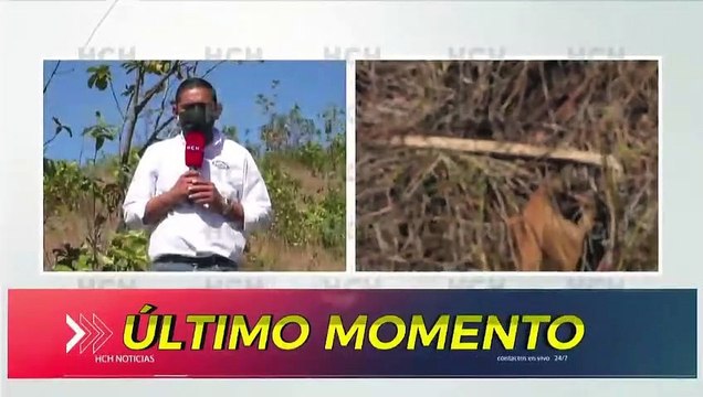 ¡Buscan más cadáveres en lo que sería un cementerio clandestino entre col. Villa Nueva y Altos del Trapiche!