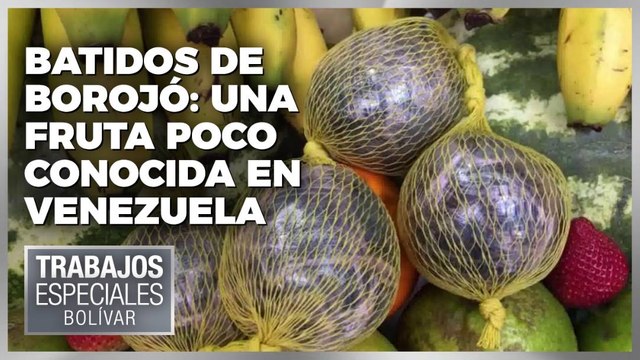 Batidos de borojó: una fruta poco conocida en Venezuela - Especiales VPItv