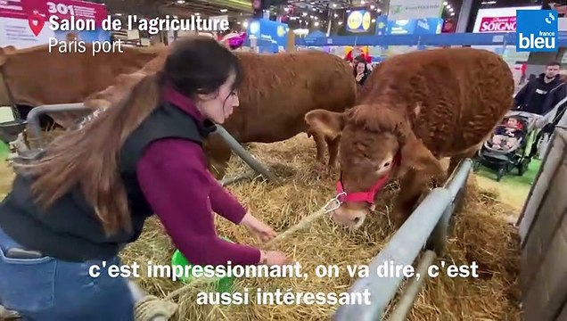 VIDÉO - La Dordogne au Salon de l'agriculture : Manon, une éleveuse de 20 ans vit son premier Salon