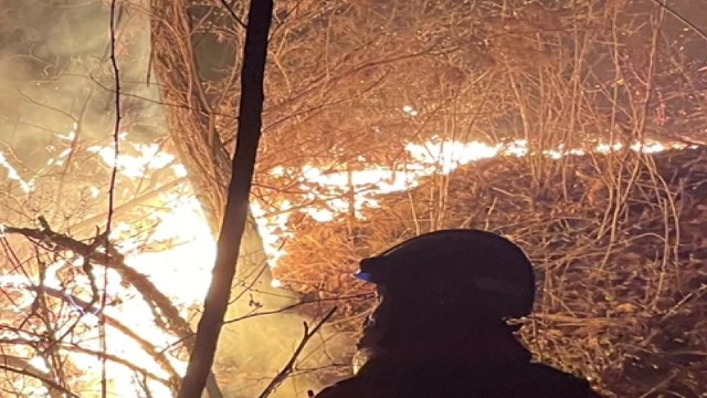 재발화 예천 산불 주불 진화...오전 잔불 정리 중 / YTN