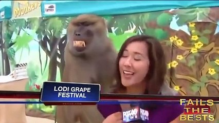 ULTIMATE EPIC FAIL WIN LUCK COMPILATION OCTOBER 2013