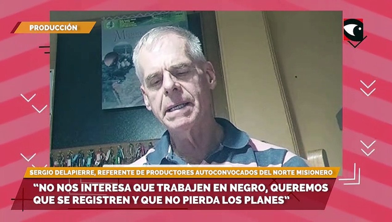Por la incompatibilidad del trabajo en blanco y los planes sociales advierten sobre la fuga de trabajadores rurales misioneros a Brasil