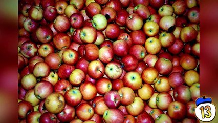 15 Deadliest Food In Your Kitchen You May Not Know About