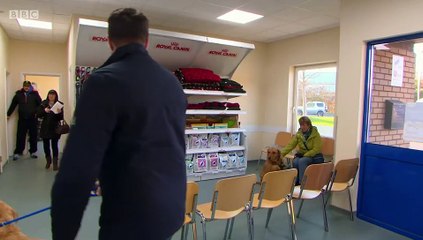 The Pets Factor S03E05 Charlie Frankie and Saras Cats