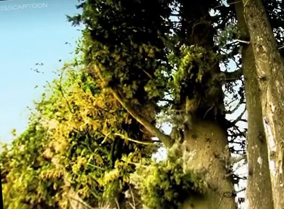 Minuscule Minuscule S01 E015 Cicada’s Song