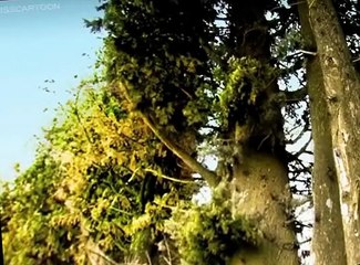 Minuscule Minuscule S01 E015 Cicada’s Song