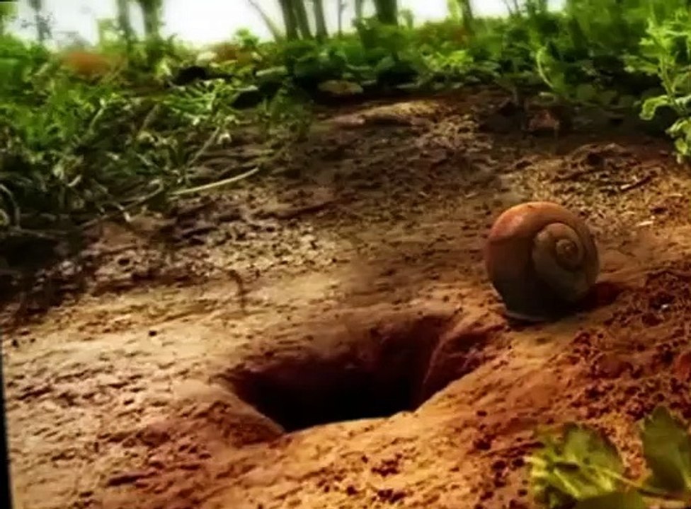 Minuscule Minuscule S01 E018 A Gust of Wind