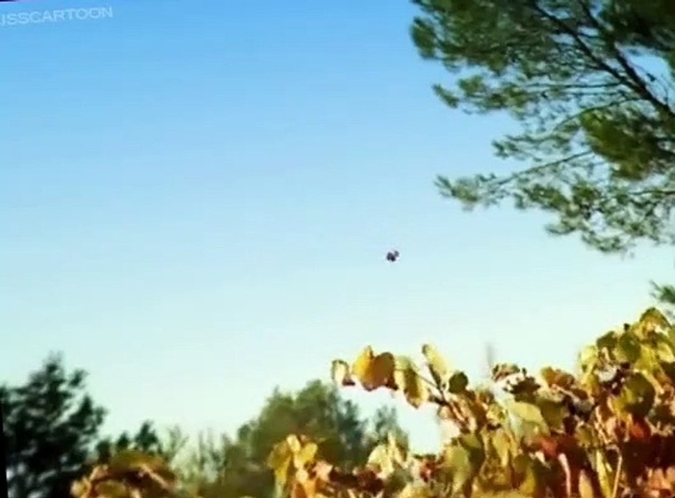 Minuscule Minuscule S01 E026 The Right Seed