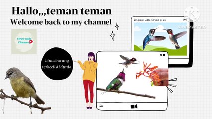 the five smallest birds in the world