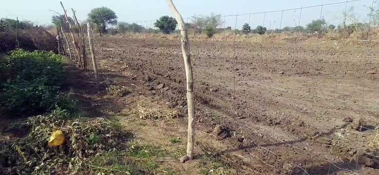 अब टीएसपी जिलों में ढाई बीघा के खेतों में भी हो सकेगी तारबंदी