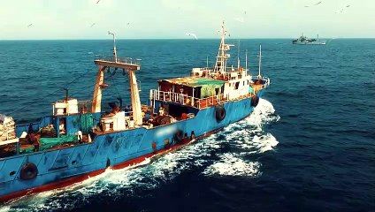 Trailer: Life-Changing Stories in 5 Documentaries 🎬