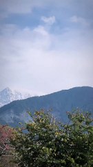 Rakkar Khaniyara | Dharamshala Guide