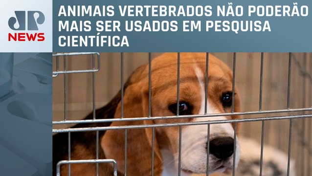 Governo proíbe uso de animais em testes para cosméticos e perfumes