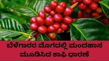 ಕೊಡಗು: ಏರಿಕೆಯಾದ ಕಾಫಿ ಧಾರಣೆ..ಹೀಗಿದೆ ರೇಟ್!