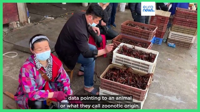 China COVID lab leak: What we know and what we don't know about the origins of the virus