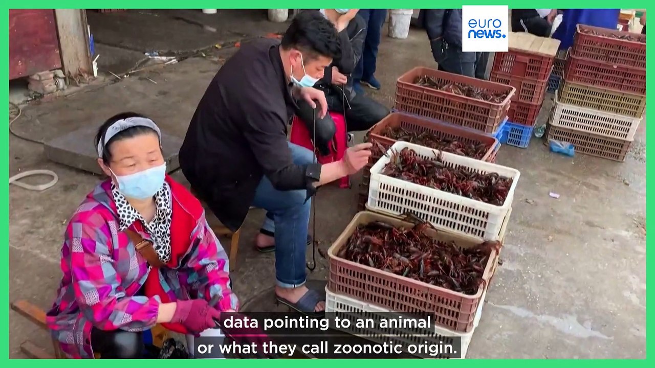 China COVID lab leak: What we know and what we don't know about the origins of the virus