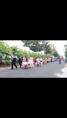 Độc lạ rước dâu bằng xe rùa