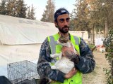 Gönüllü olarak gittiği deprem bölgesinde 50'nin üzerinde hayvanı kurtardı