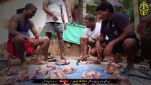 Qurbani Ky Gosht Par Allah Ka Aik Naam Parh Kr - Beli Kotty Our Cheel Ko Khila Din - Sakoon Milyga