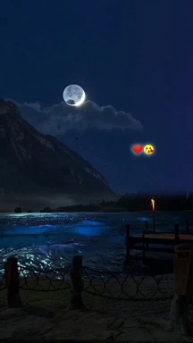 Best investment video