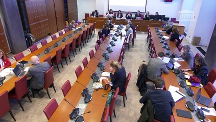 Commission des affaires sociales : Accompagnement psychologique des femmes victimes de fausse couche - Mercredi 1 mars 2023