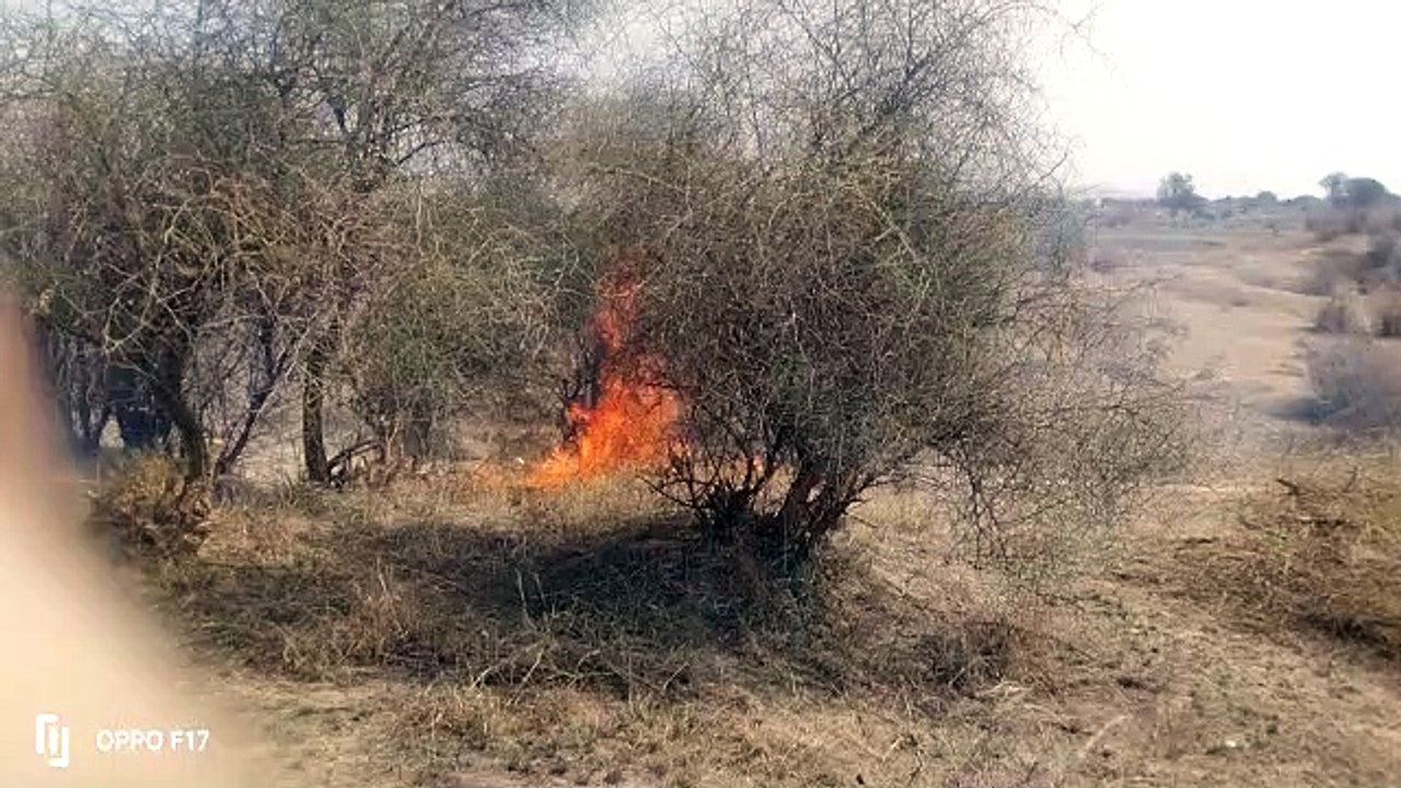 चने के खेत में लगी आग,डेढ बीघा में फसल जलकर राख