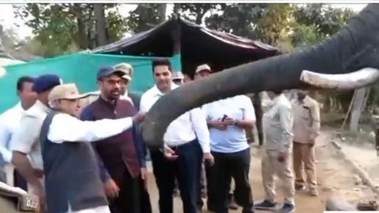सीधी: संजय टाइगर रिजर्व का महामहिम राज्यपाल ने...
