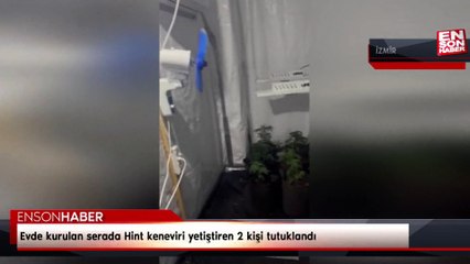 İzmir'de evini uyuşturucu serasına çevirdi