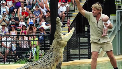 12 Deadly Sea Creatures You Should Never Touch