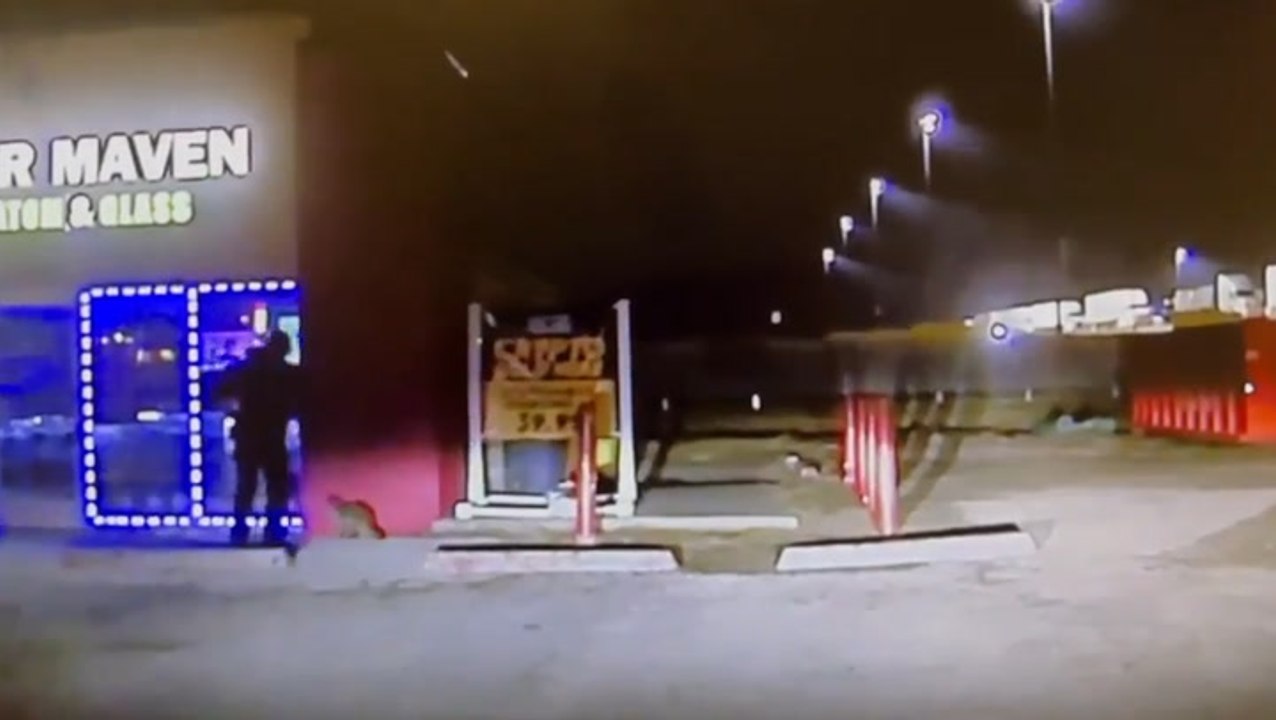 Raccoon with jar stuck on its head rescued by persistent police officer