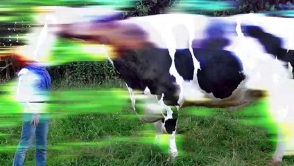 15 HUGE Animals Caught On Camera!