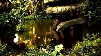 10 Largest Creatures That Ever Roamed Planet Earth