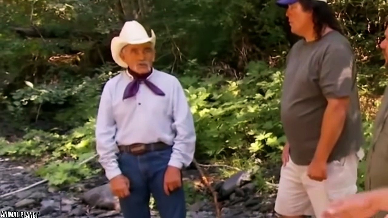 10 Most Mysterious Creatures Caught On Camera