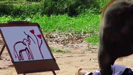 25 Moments If Not Filmed You Wouldn't Believe