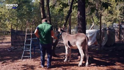 Veterinarios Todo o Terreno - 16