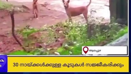 നായകള്‍ക്ക് വീട് ഒരുങ്ങുന്നു; പദ്ധതിയുമായി കണിച്ചുകുളങ്ങര പഞ്ചായത്ത്