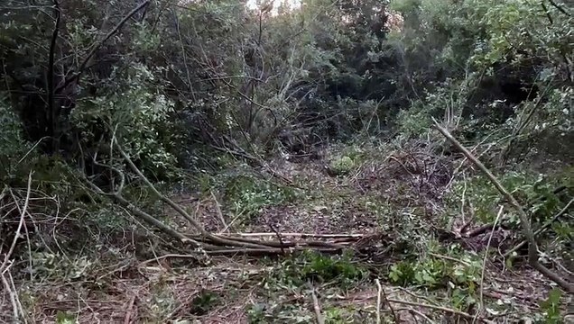 Antalya’da Phaselis Antik Kenti yapılaşmaya açılıyor!