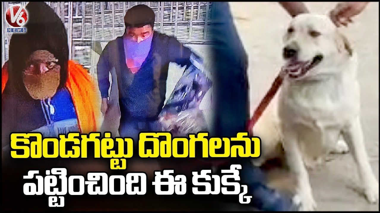 Police Officer Thanks Dog Robin For Helping To Caught Kondagattu Robbery Thieves _ V6 News
