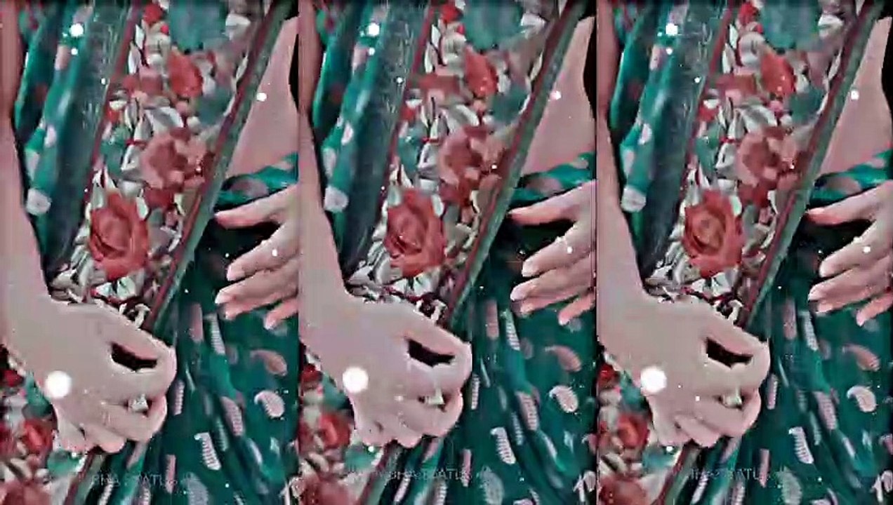 xml new brown color video _ alight motion _