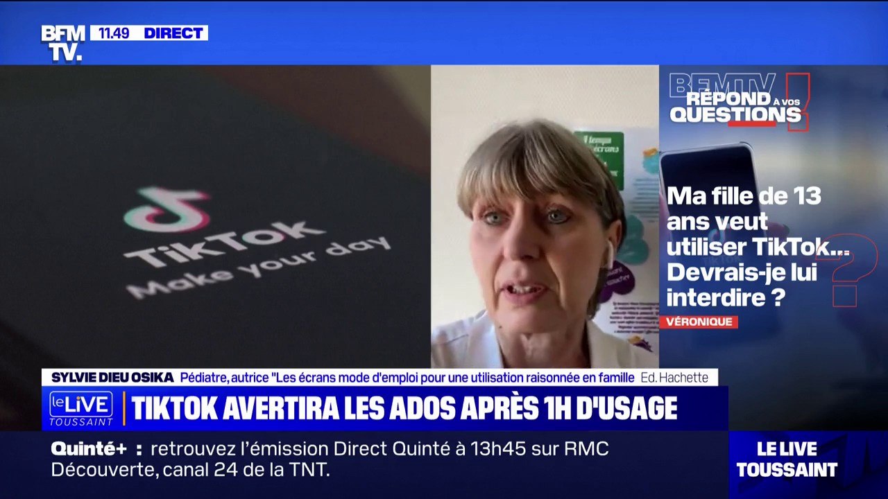 Quels sont les risques du réseau social TikTok? BFMTV répond à vos questions
