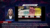 58m birds culled in avian flu outbreak - cost of eggs skyrockets - 1breakingnews.com