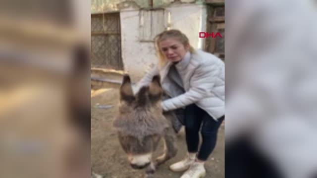 KONYA'DAN GETİRİLEN EŞEK, OSMANİYE'DEKİ EMEKLİ HAYVANLAR ÇİFTLİĞİ'NDE
