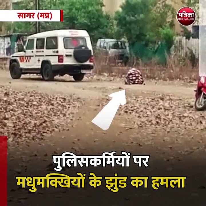सागर (मप्र): पुलिसकर्मियों पर मधुमक्खियों के झुंड का हमला